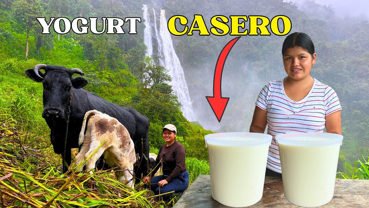 &iquest;C&oacute;mo se prepara YOGURT NATURAL con leche fresca de vaca? - NATHALIA