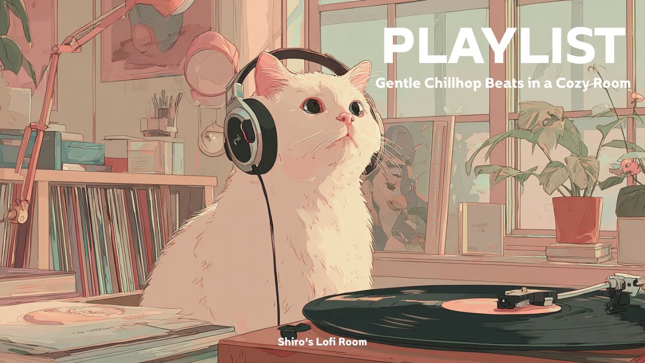 Gentle Chillhop Beats in a Cozy Room 🎧