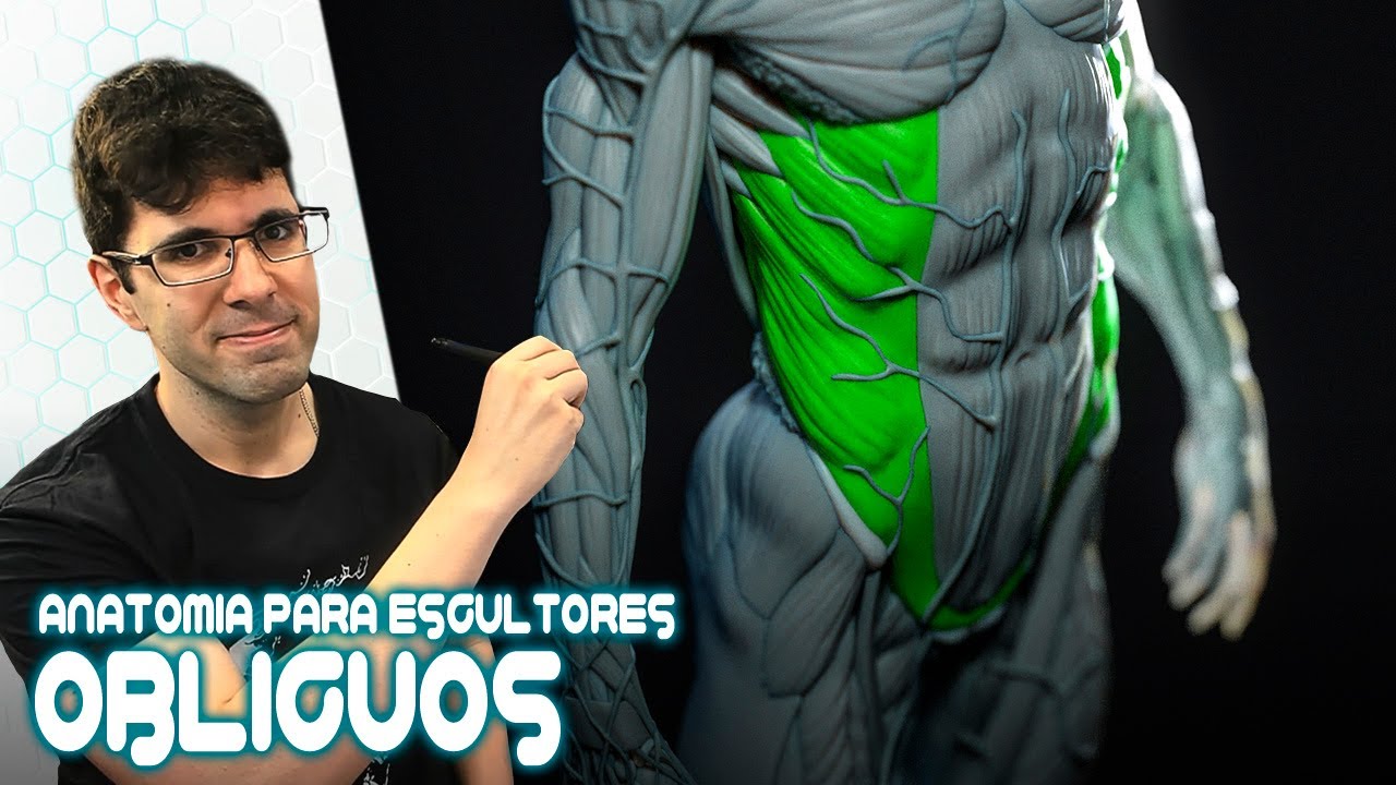 Anatomía para Escultores | Torso Frontal #4 - Oblicuos Interno y Externo
