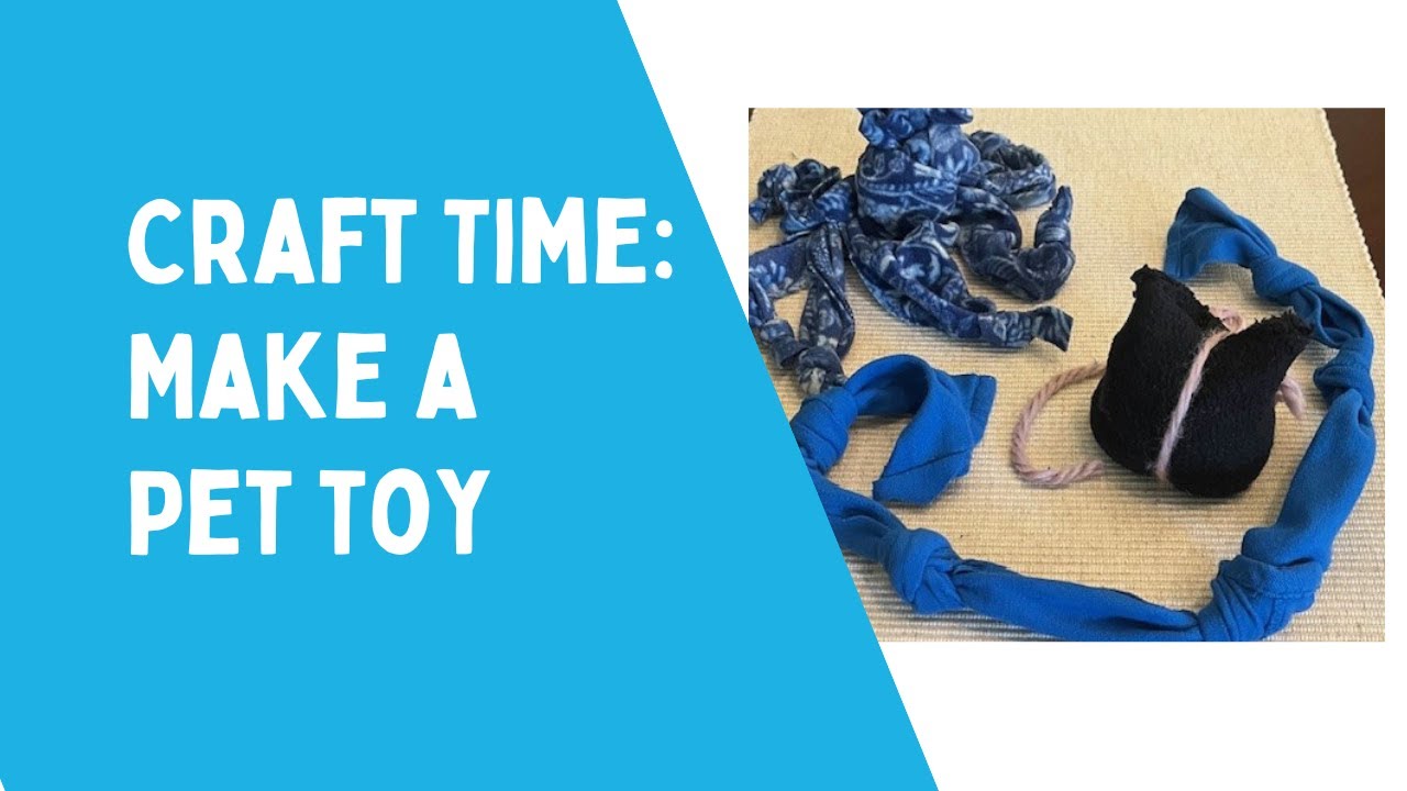 Make a Pet Toy Craft Activity