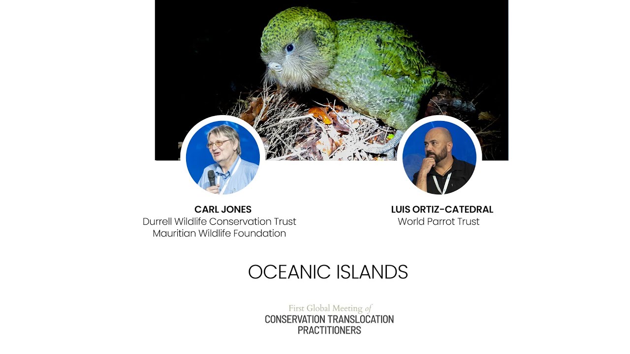 Conservation Translocation Practitioners in Oceanic Islands
