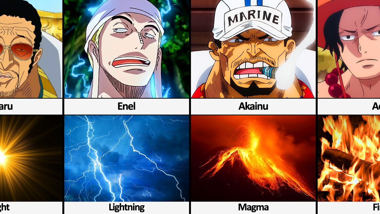 One Piece All Logia Type Devil Fruits Users in Real World Form