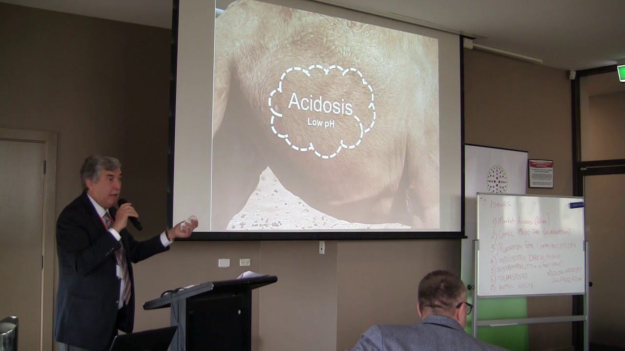 Part 2: Nutrient requirements for camels  – Dr Rafat Al Jassim (Australia)