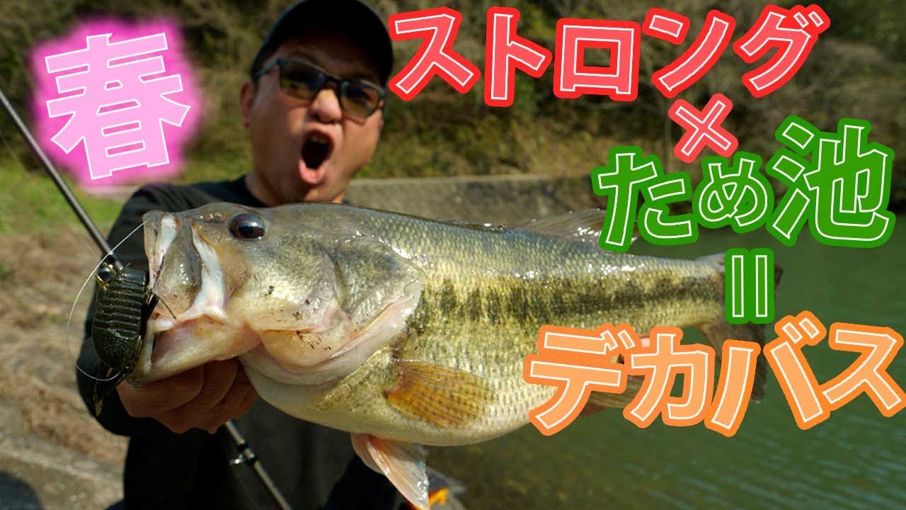ストロング×ため池＝デカバス[RAIDJAPAN]