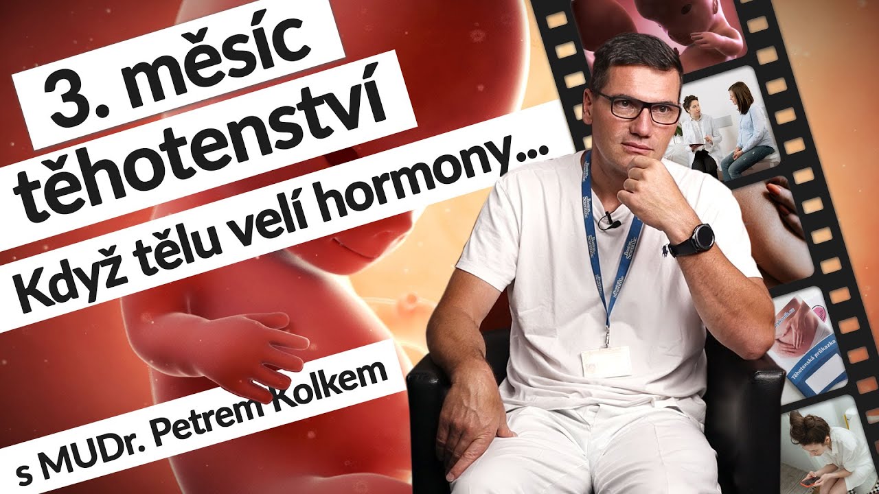 3. měsíc těhotenství (9.–⁠13. tt) | Těhotenství týden po týdnu| #tehotenstvi