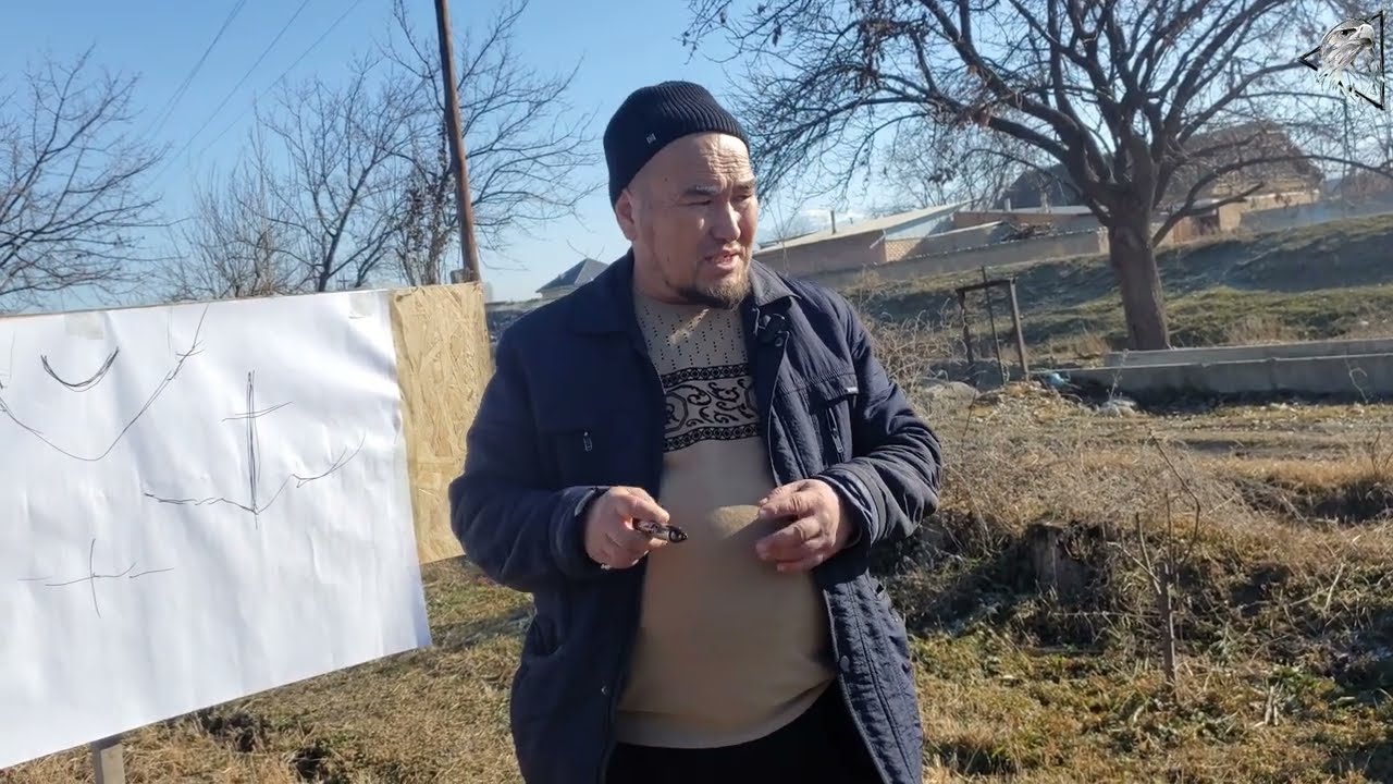 Гилас бактар. Эмне үчүн, мөмө байлабайт?