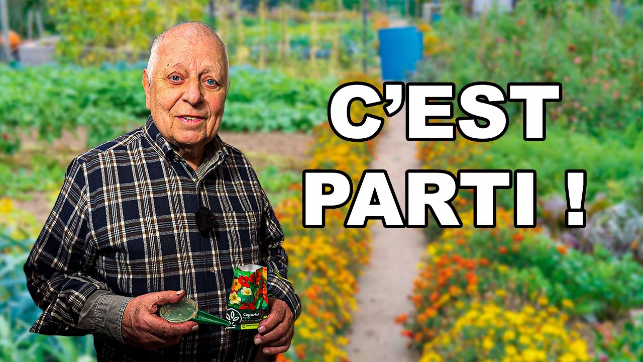 Ce que je sème maintenant pour gagner du temps au printemps 🌱