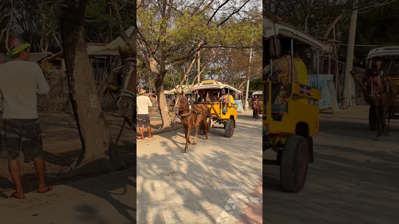Cidomo Horse #gilitrawangan #giliislands #island #beach #pantai #lombok #cidomo #indonesia #guest