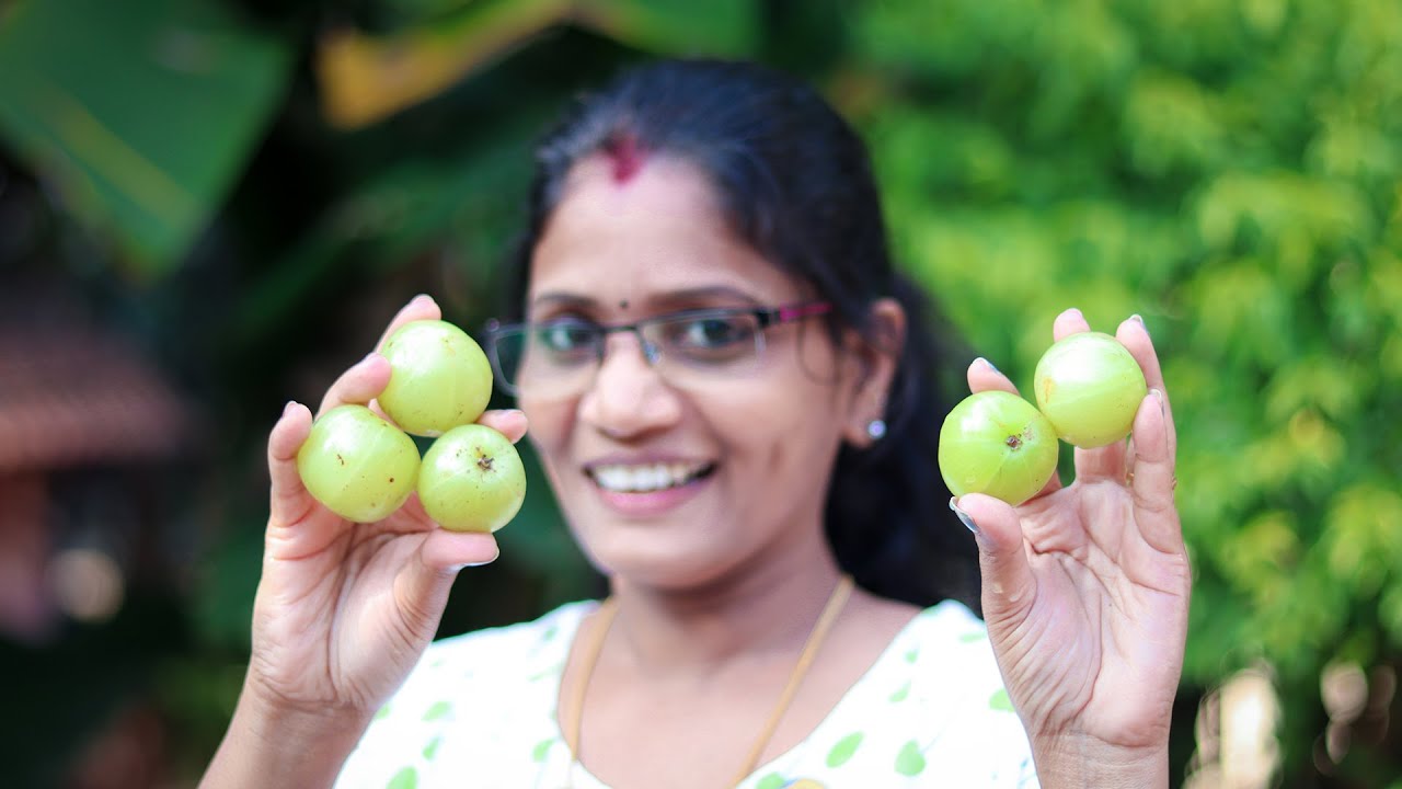 നെല്ലിക്ക സീസൺ ആയിട്ടും ഇത് നിങ്ങൾ ട്രൈ ചെയ്തില്ലേ? 💯👌 | Gooseberry Special Pickle in Kerala Style