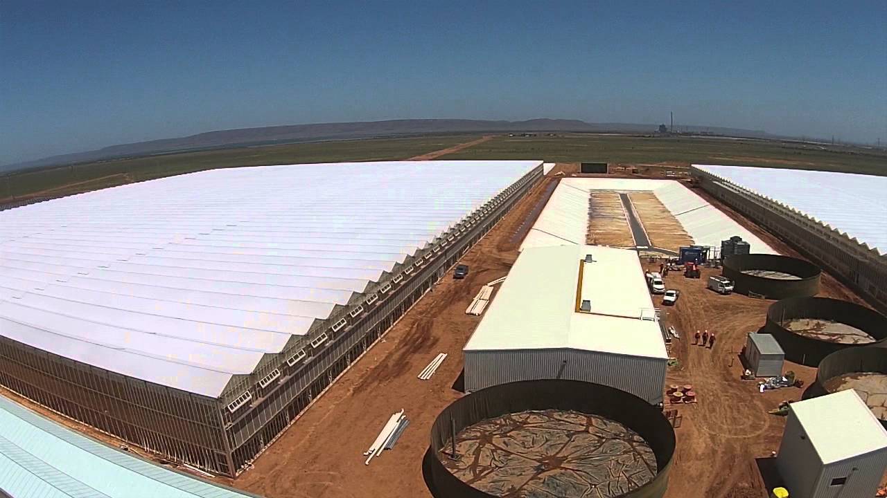 Sundrop Farms January 2016