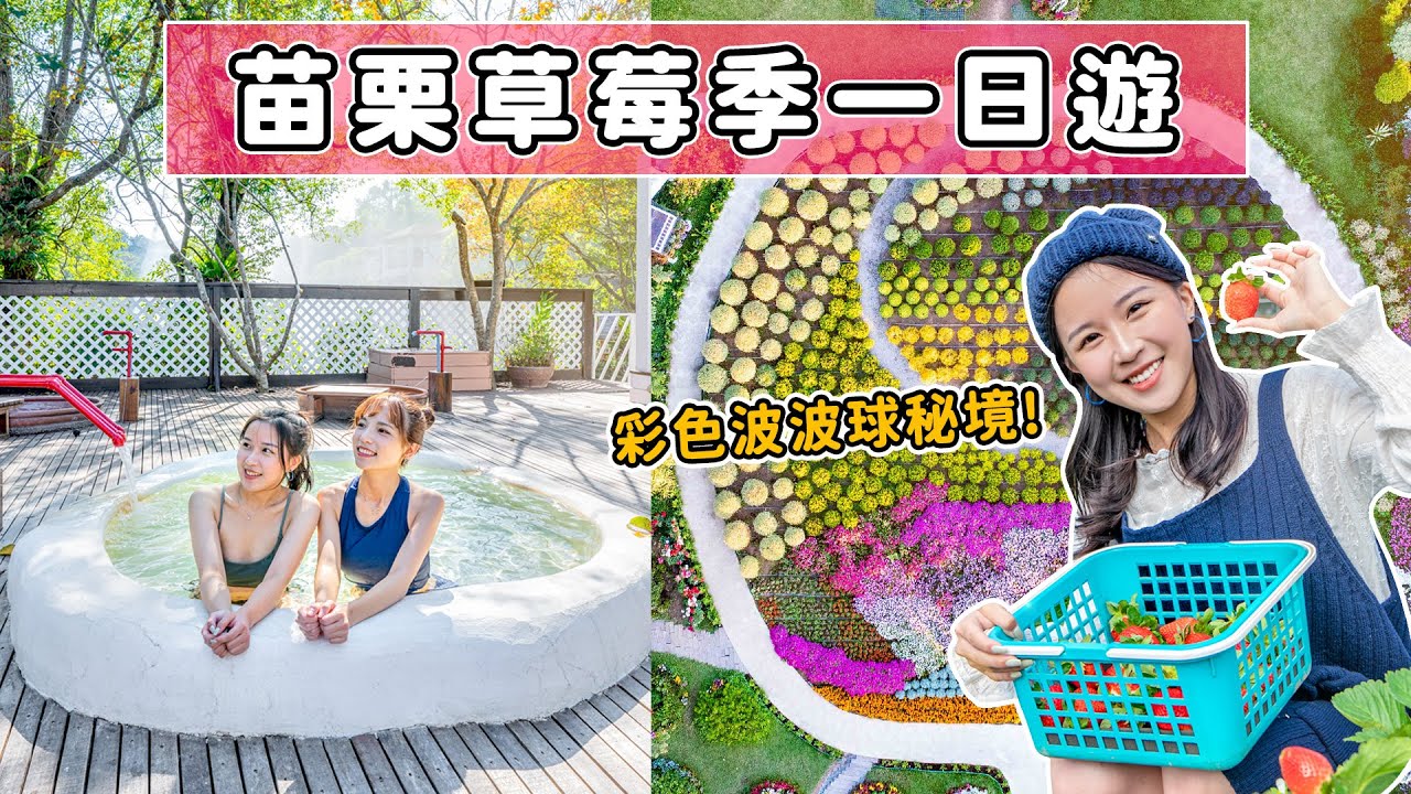 📍好想去苗栗 | 大湖採草莓！不限時爽泡個人湯池♨ 美拍彩色波波球秘境，苗栗限定草莓創意料理！