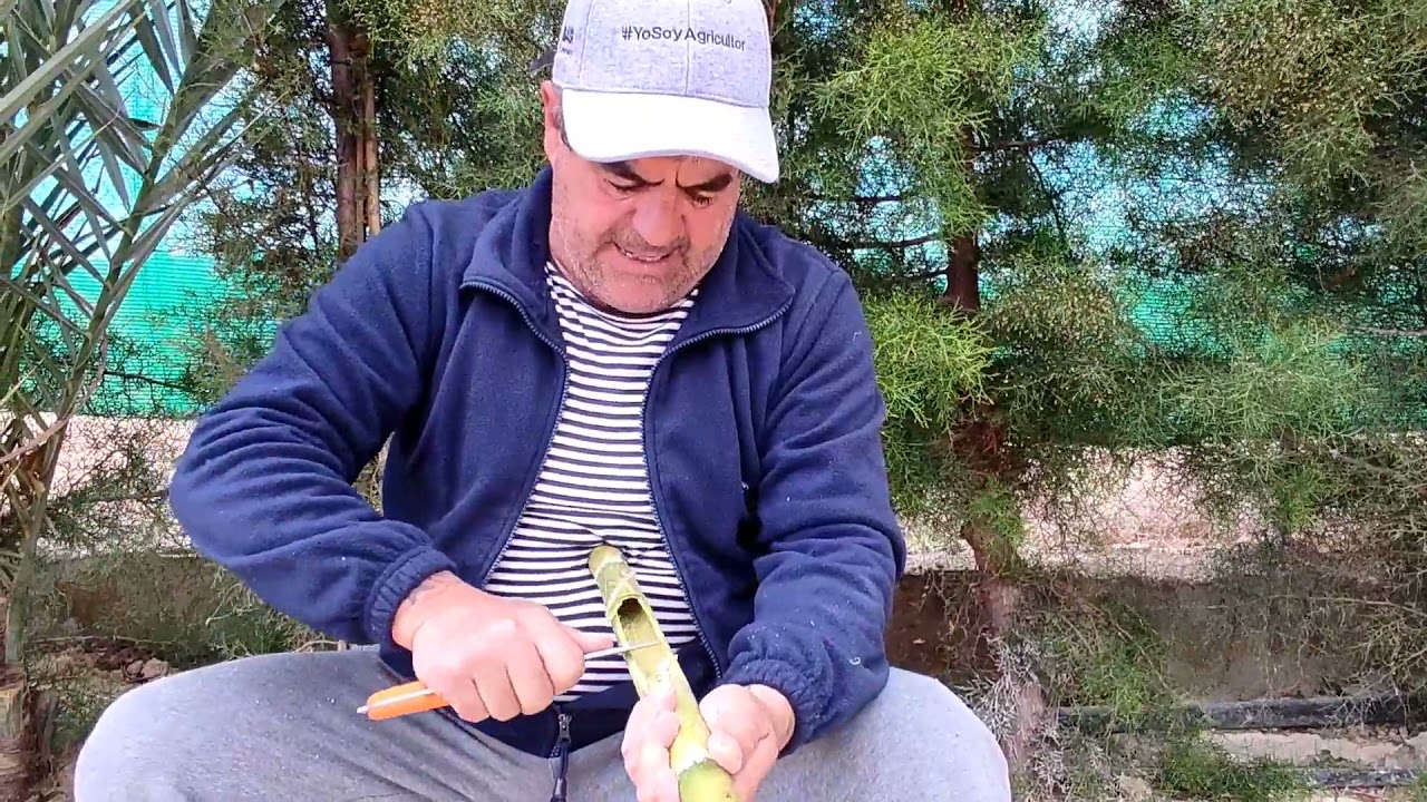 Fabricando una cascañeta