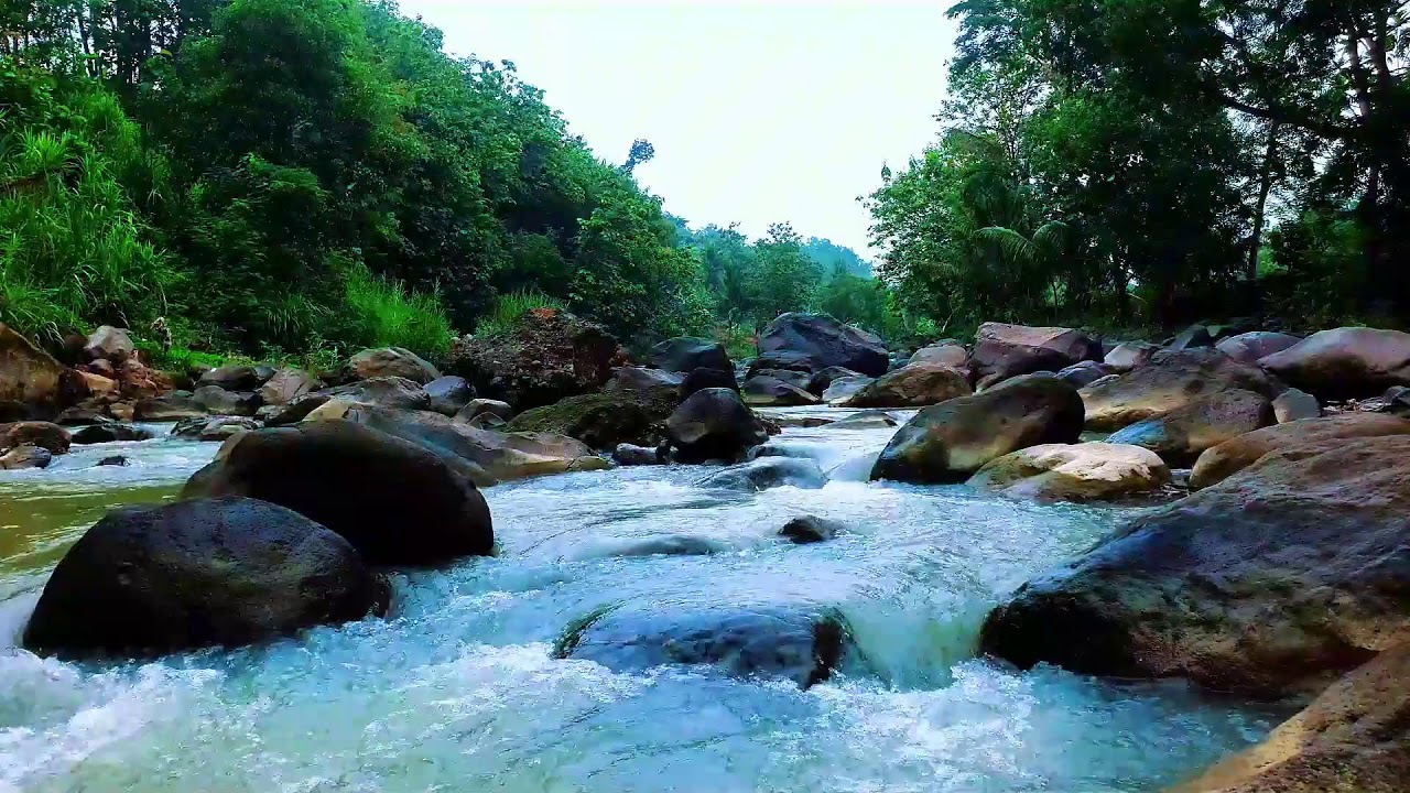 Tranquil River Sounds for Meditation and Focus – 12H Flow