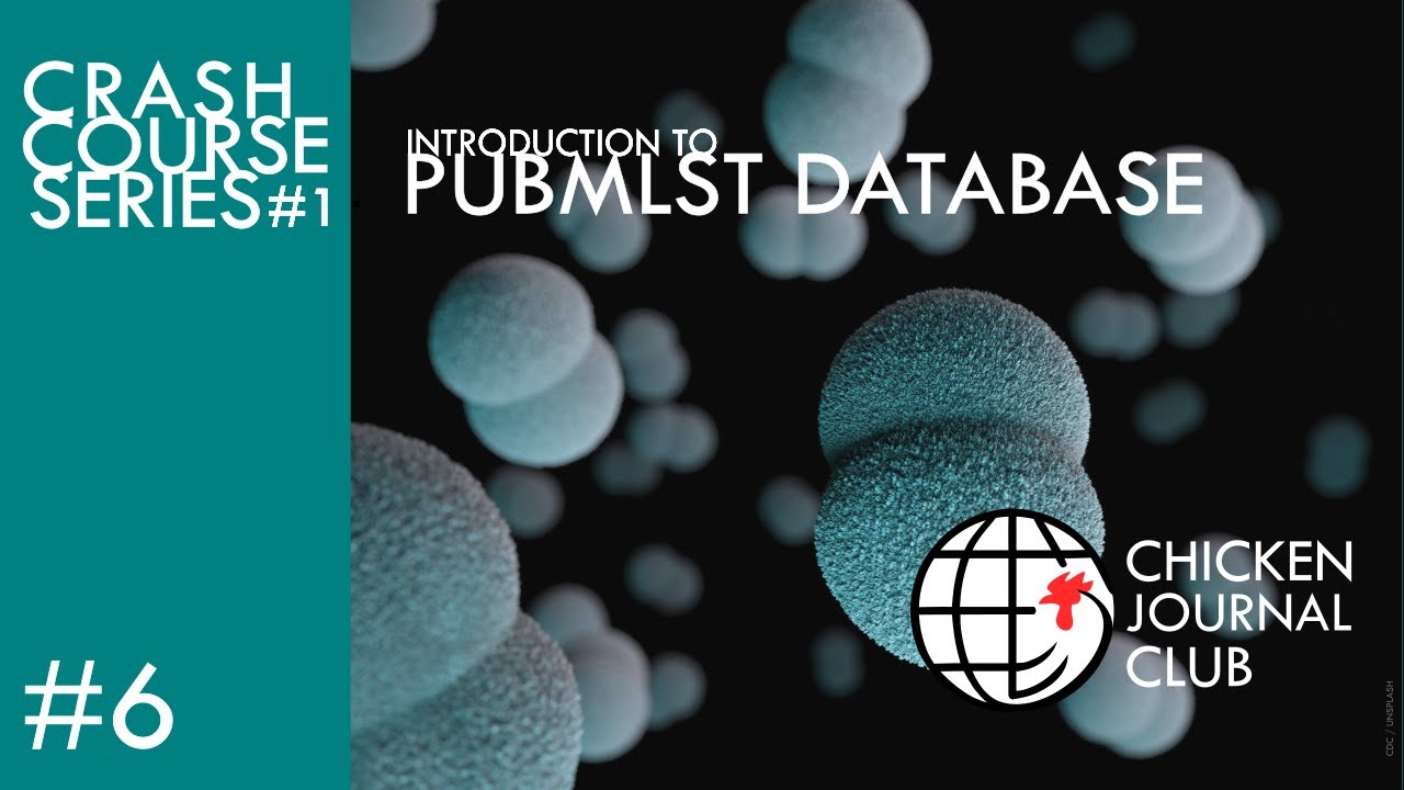 No.6 Introduction to PubMLST Database!