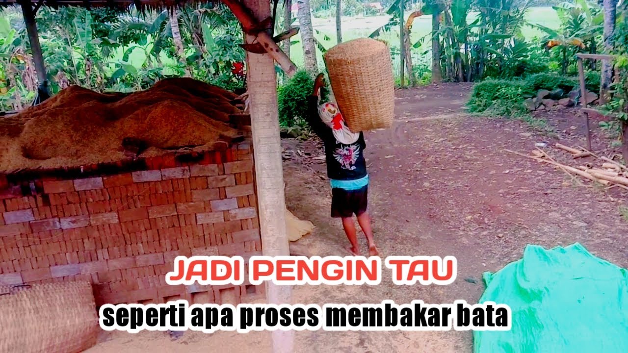 Penasaran..jadi pengin tau || cara membakar bata merah pakai sekam padi #diasgondrong