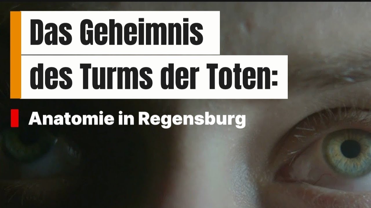 Das Geheimnis des Turms der Toten: Anatomie in Regensburg