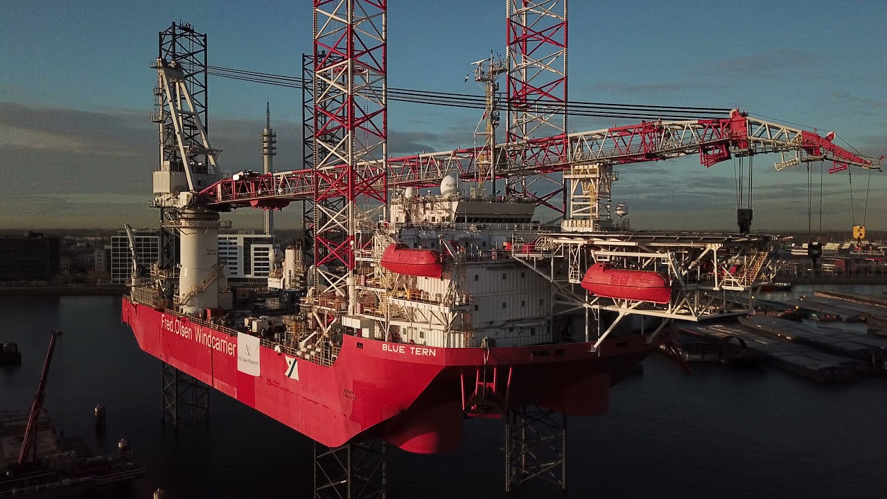 Blue Tern @ Rotterdam Offshore Group