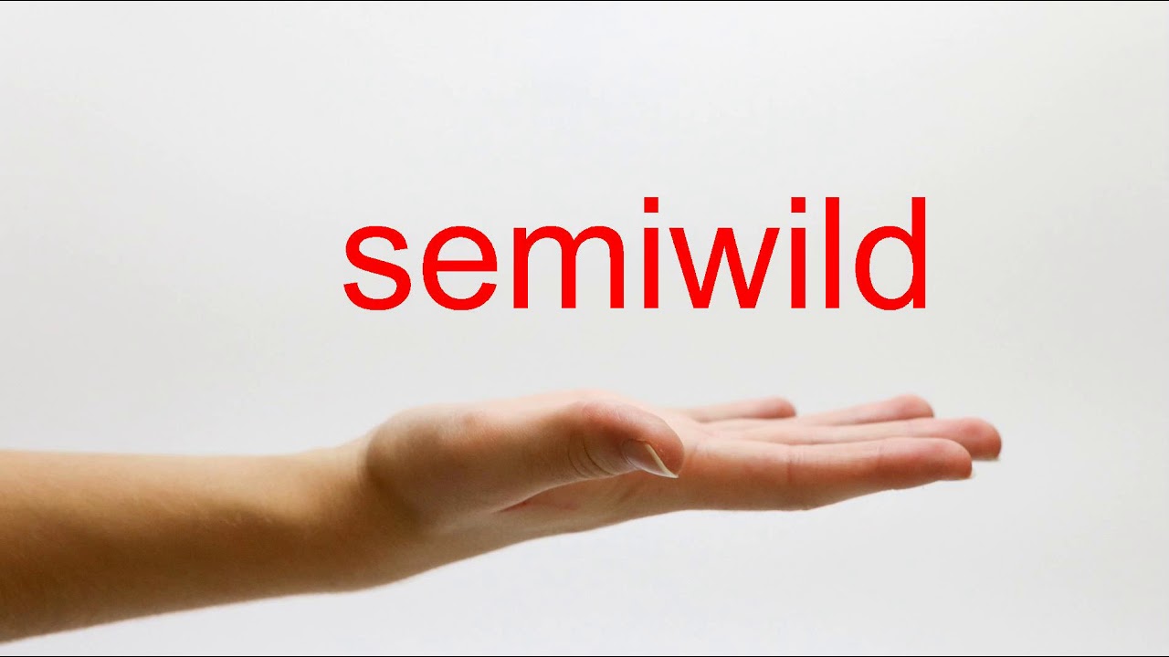 How to Pronounce semiwild - American English