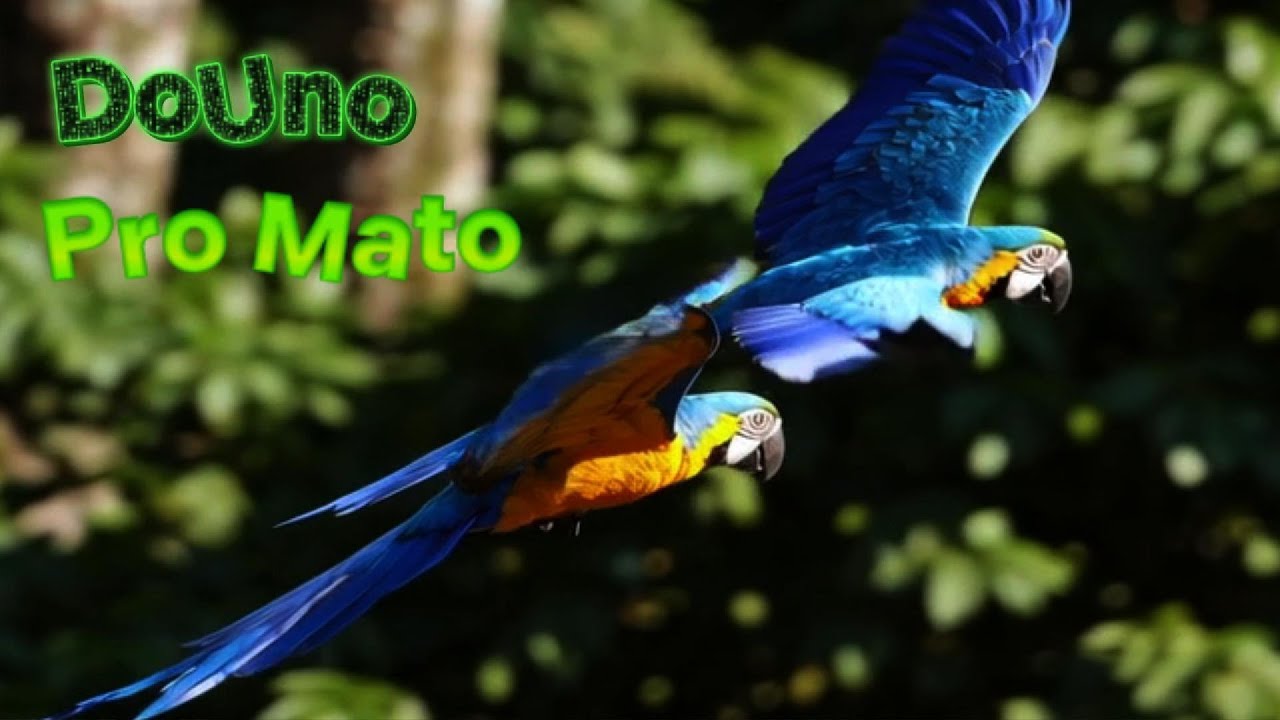 DoUno - Pro Mato | Cura pela Natureza