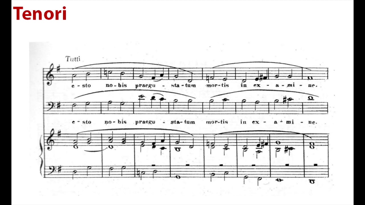 7 - Ave verum (Perosi)