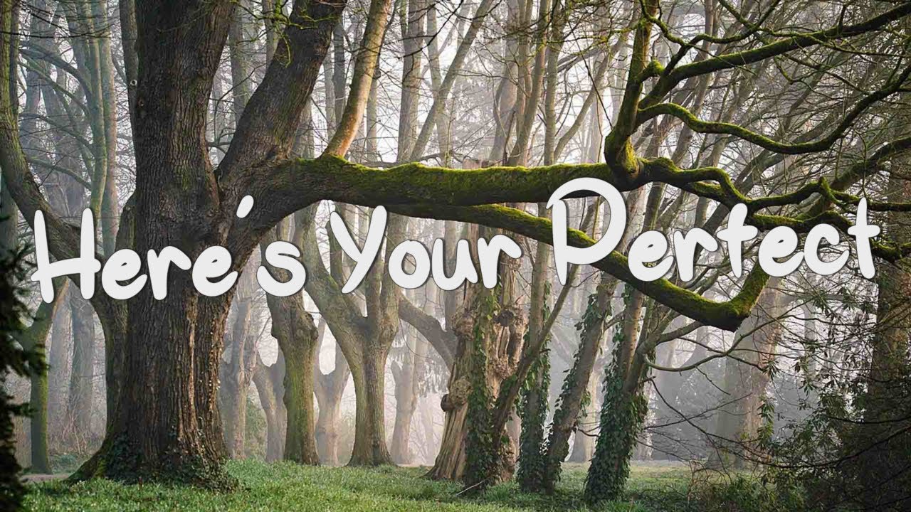 Here's Your Perfect - Jamie Miller (Lyrics) || Meghan Trainor,Troye Sivan (Mix Lyrics)