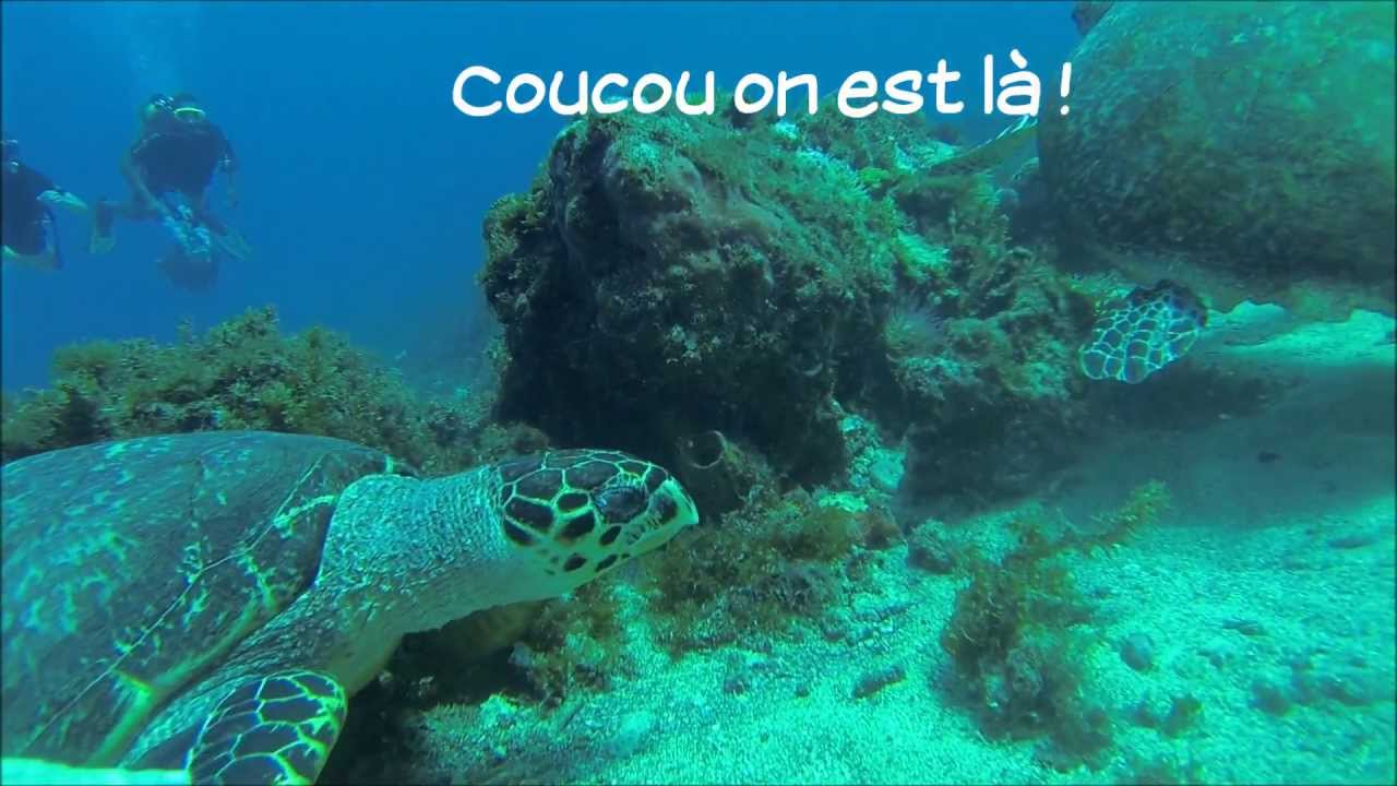 Une explo au Rocher du Diamant, ça vous tente ?