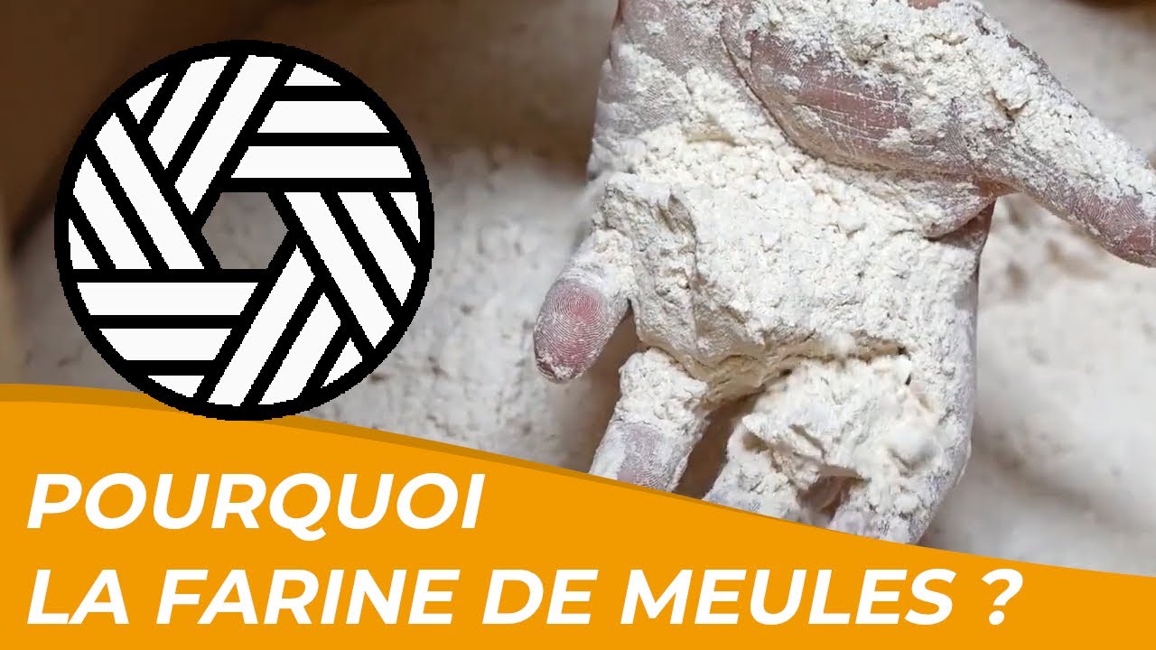 Pourquoi faire de la farine sur meules de pierre ?🌾👩‍🌾