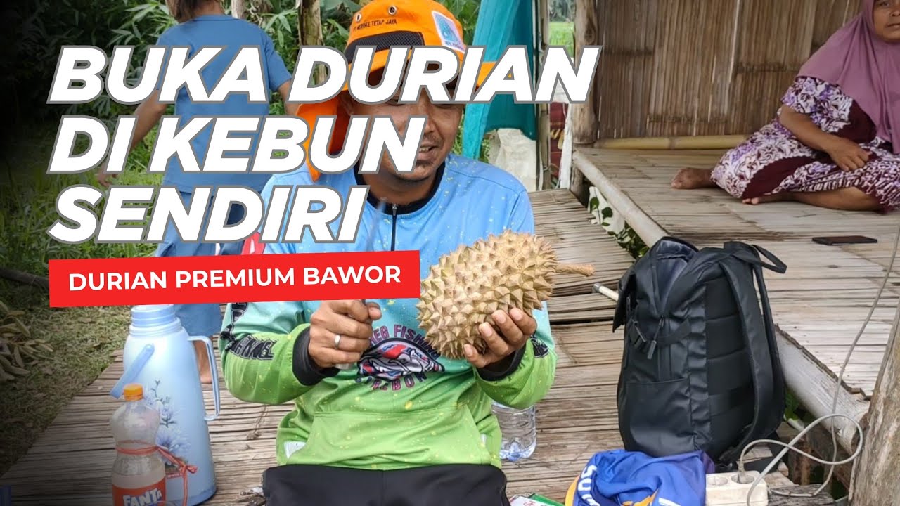 Durian Premium Siap Dibuahkan Bos 😁