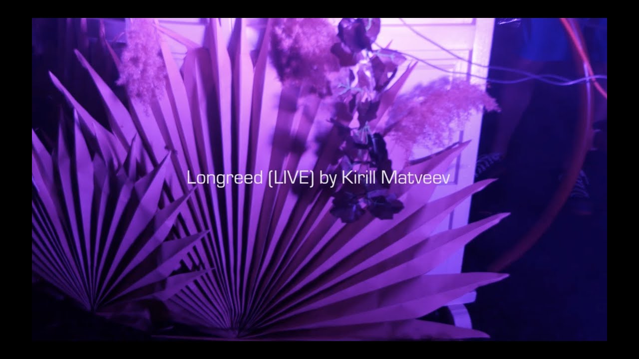 Longreed (live) aka Kirill Matveev. Part 1. Novi Sad, July 2022. MixCult Brunch