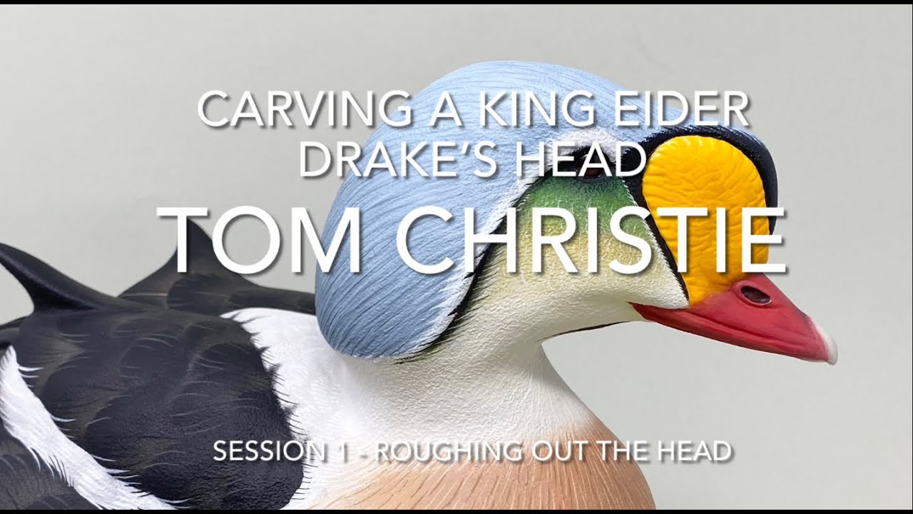 King Eider Drake Head Carving -  Session 1 - Roughing Out the Head
