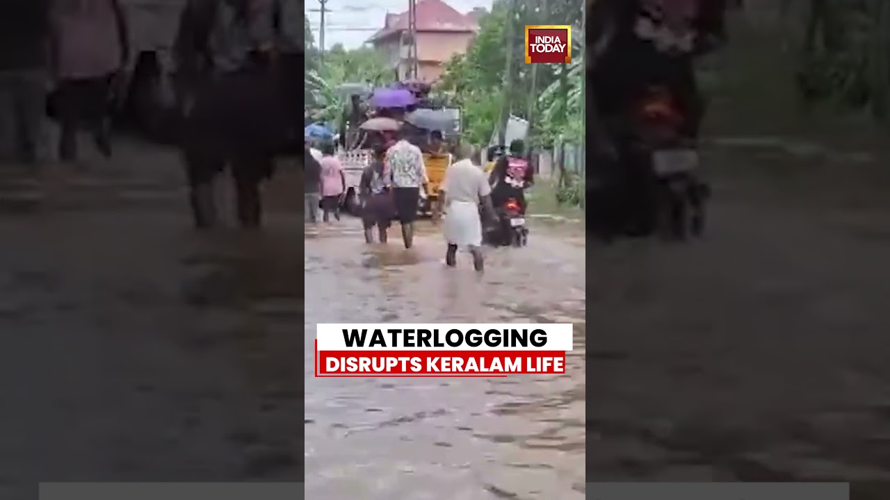 Waterlogging Disrupts Daily Life In Kerala As Heavy Rains Flood Roads In Pathanamthitta #kerala