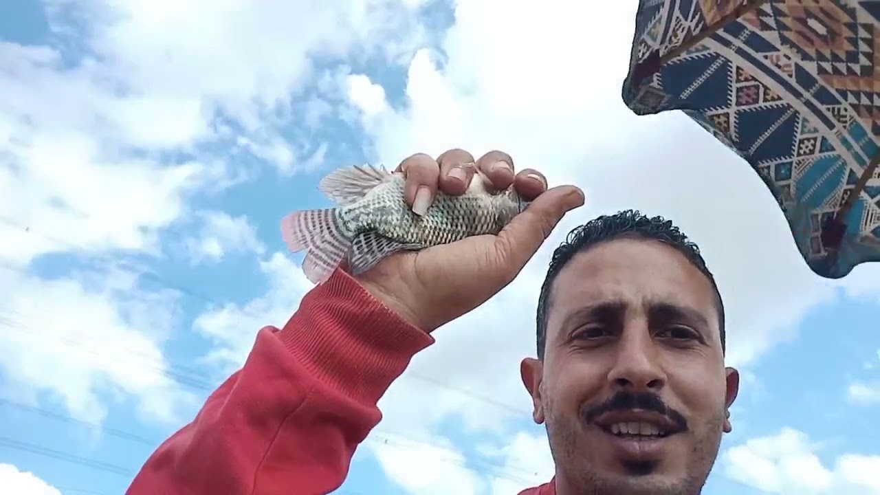 صيد غله فى دور عشوائي وكل سنه وانتم طيبين وبخير رمضان كريم