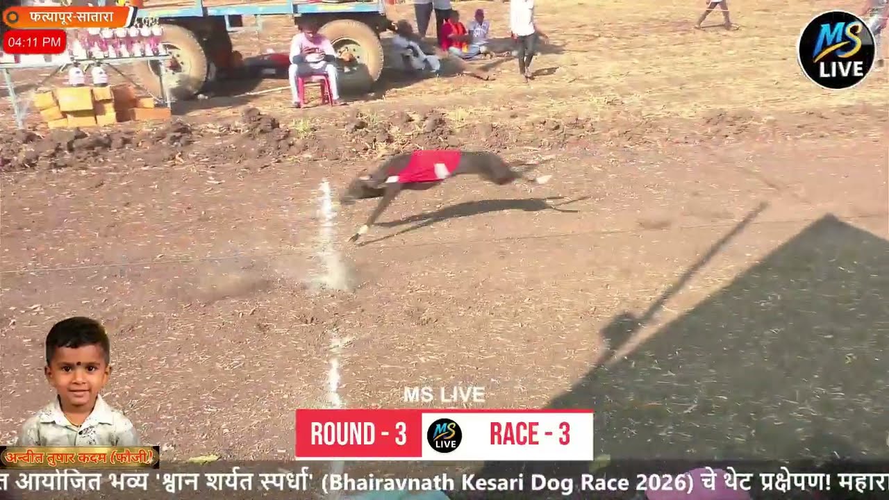 ROUND - 3 - RACE - 1 to 3 भैरवनाथ केसरी श्वान शर्यत स्पर्धा 2026 | फत्यापूर, सातारा | MS LIVE