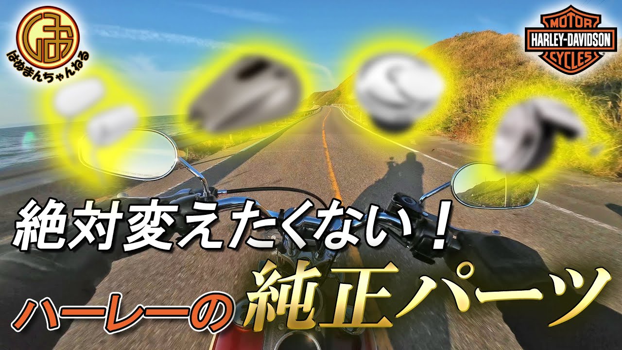 【ハーレーダビッドソン】絶対変えたくない！ハーレーの優秀純正パーツ4選！！#ハーレーダビッドソン #ローライダー #キャブ調整【Harley Davidson TC88 ダイナ FXDL】
