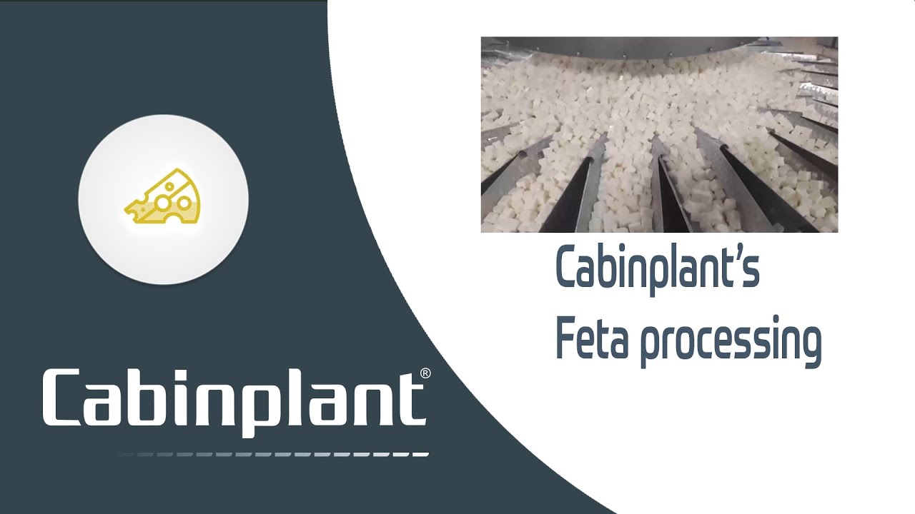 Cabinplant Greek Feta processing