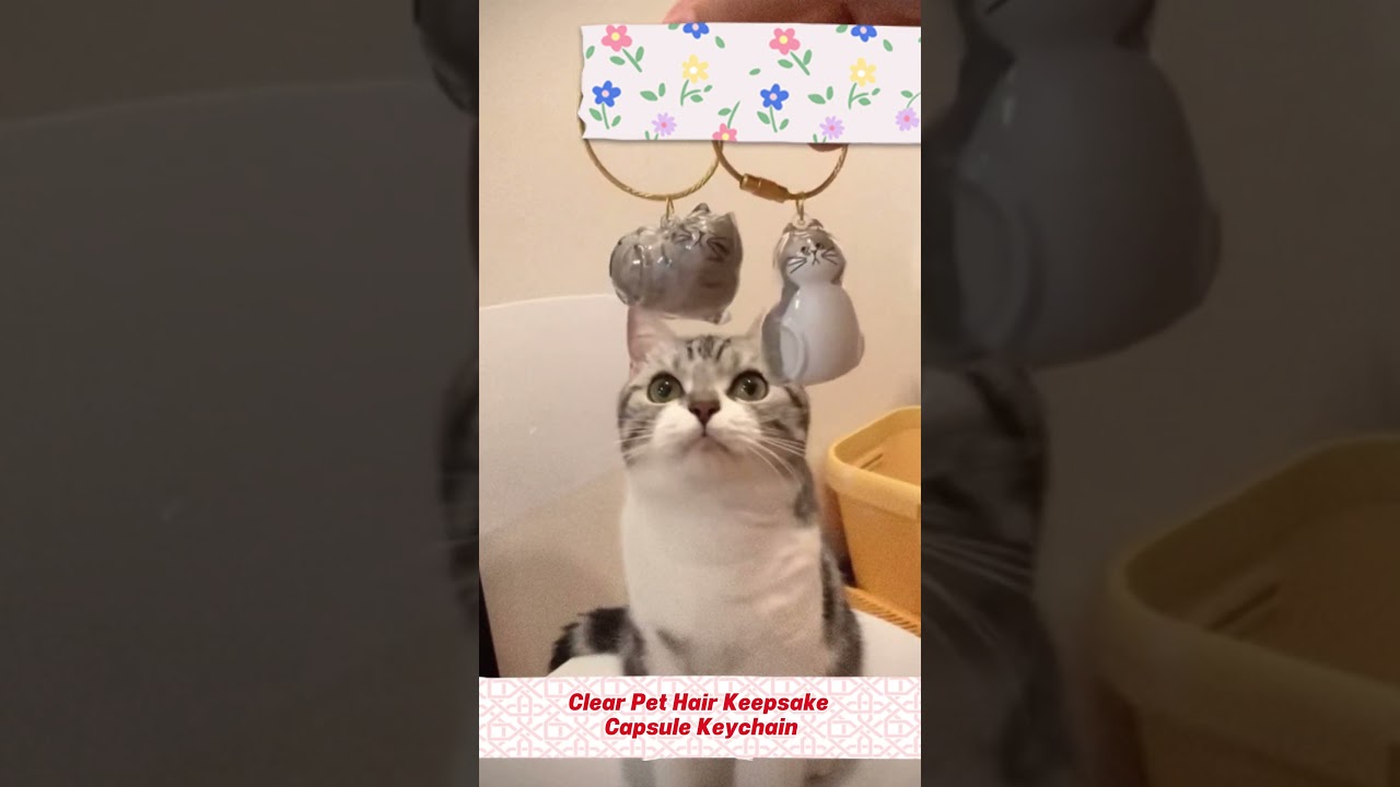 Clear Pet Hair Keepsake Capsule Keychain! 