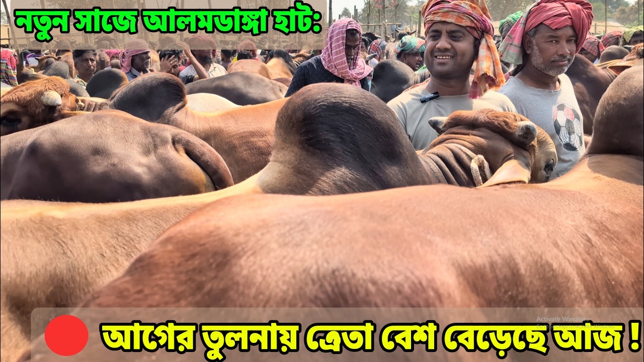 নতুন সাজে আলমডাঙ্গা হাট: গরুর ভিড়ে ঠাসাঠাসি, আগের চেয়ে ক্রেতা বেশ আজ! Qurbani 2026