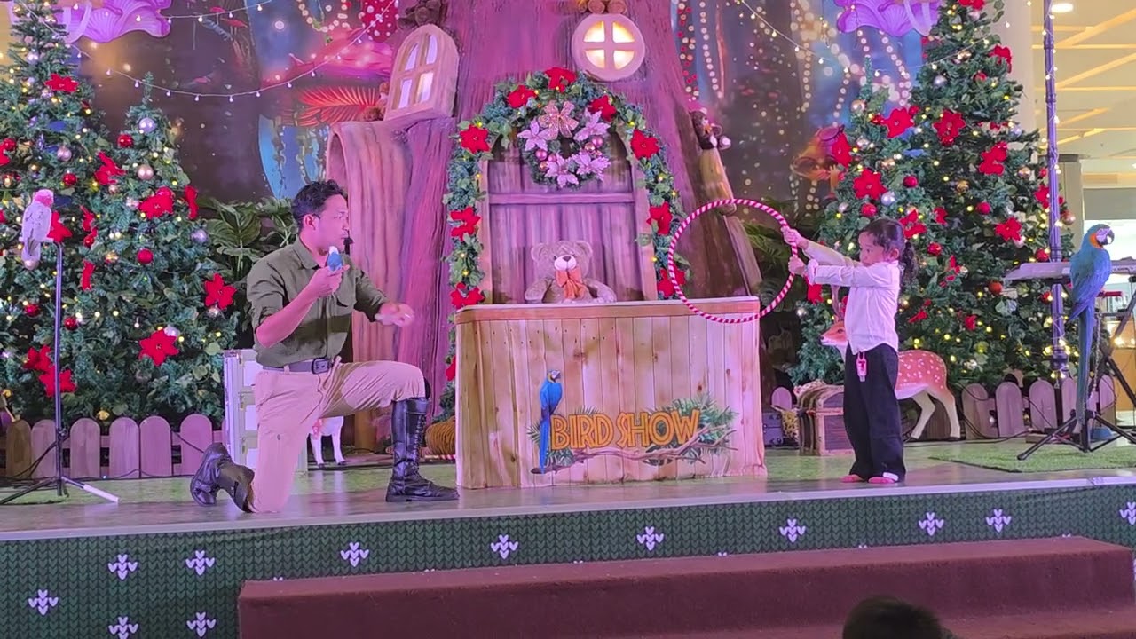 Jungle Wonderland Bird Show - by de Hakims
