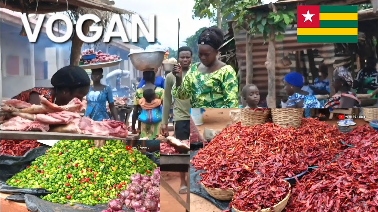  Huge village market day in Vogan Togo will shock you #Togo Vlog 