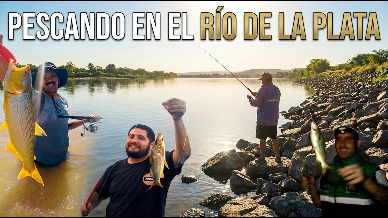 PESCA VARIADA EN EL RIO DE LA PLATA