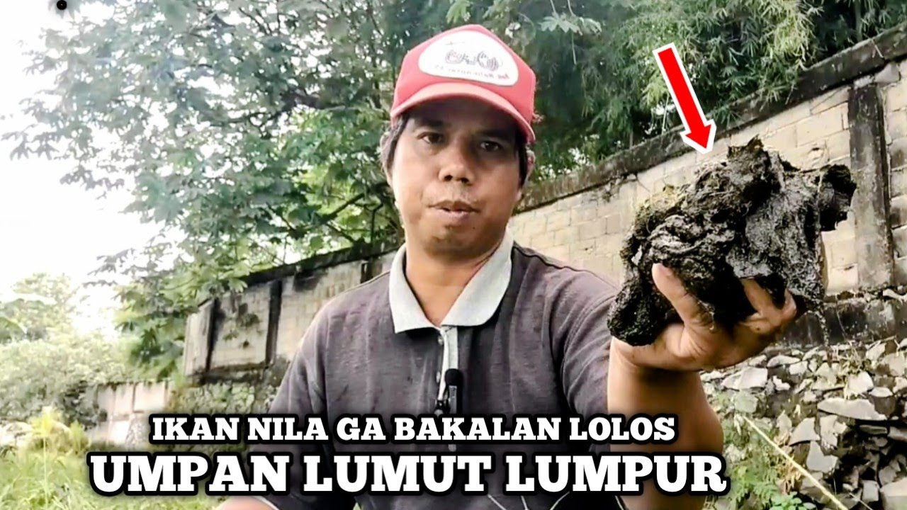 Umpan original lumut alami tampa Essen‼️ ikan nila auto abis 