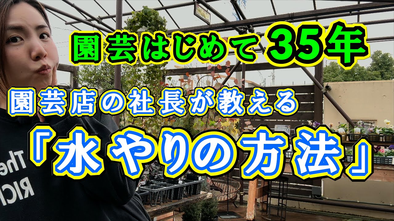 【なんとなく水やりしてませんか？】植物の水やりについて大解説します