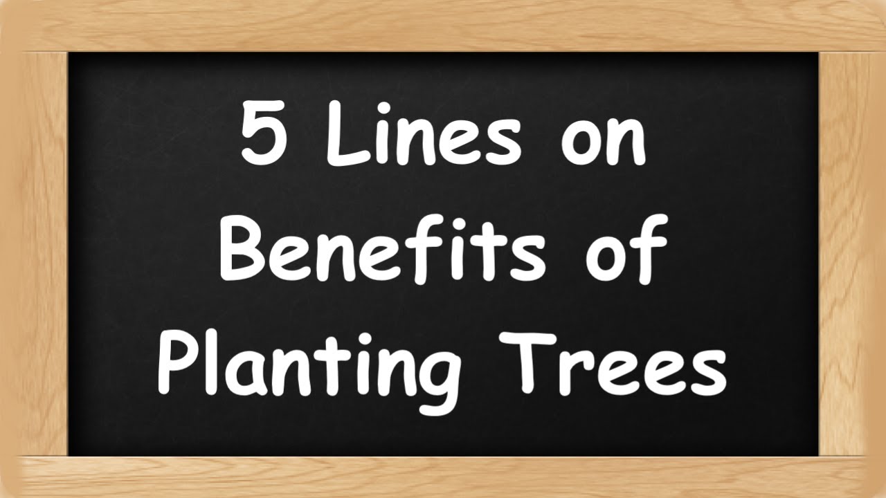 Benefits of Planting Trees Short 5 Lines in English || 5 Lines Essay on Benefits of Planting Trees
