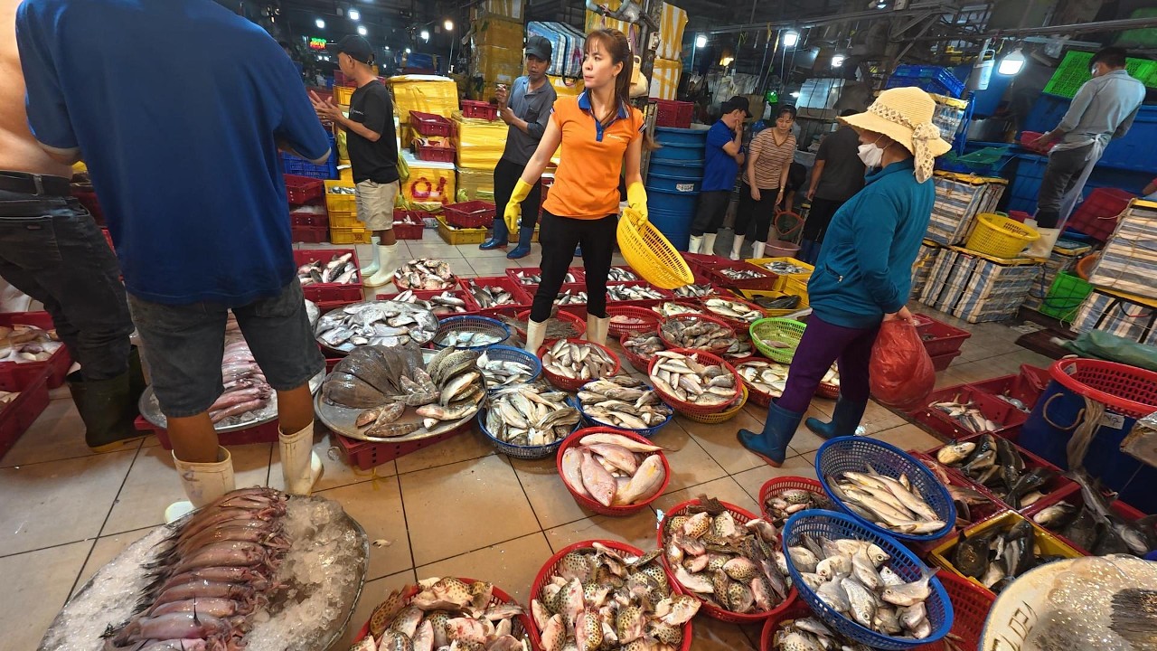 chợ cá ngày cuối tuần đồ rẻ bạn hàng tấp nập