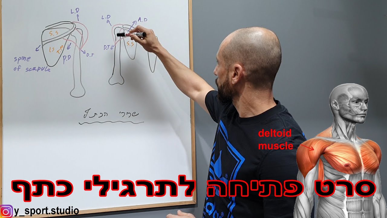 סרט פתיח לשרירי הכתף