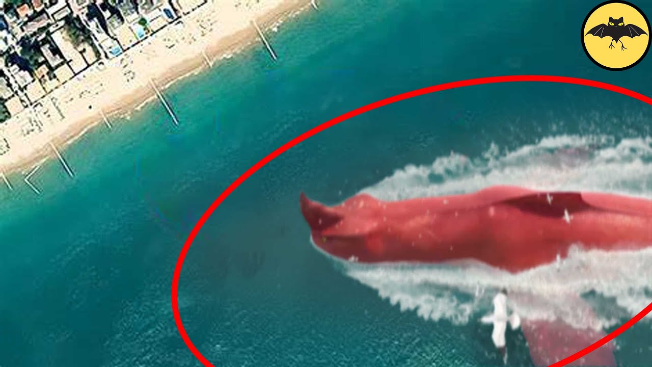 7 Criaturas de las Profundidades Marinas Vistas en Google Earth.