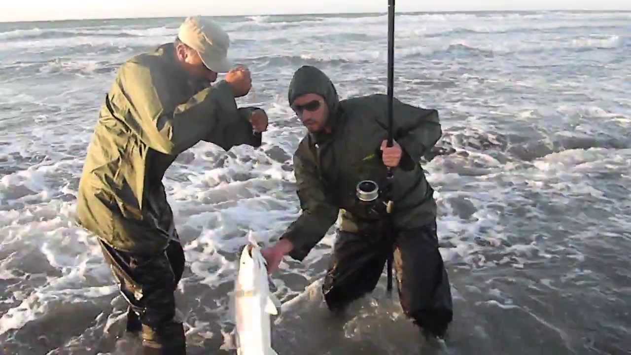 Peche au Maroc Dakhla - Courbine