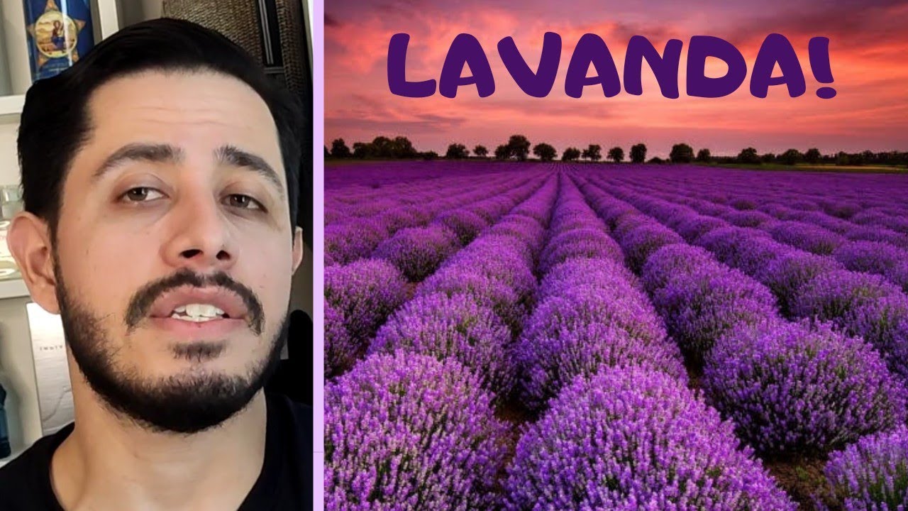 Top 10 - Perfumes de Lavanda que você PRECISA CONHECER!!!