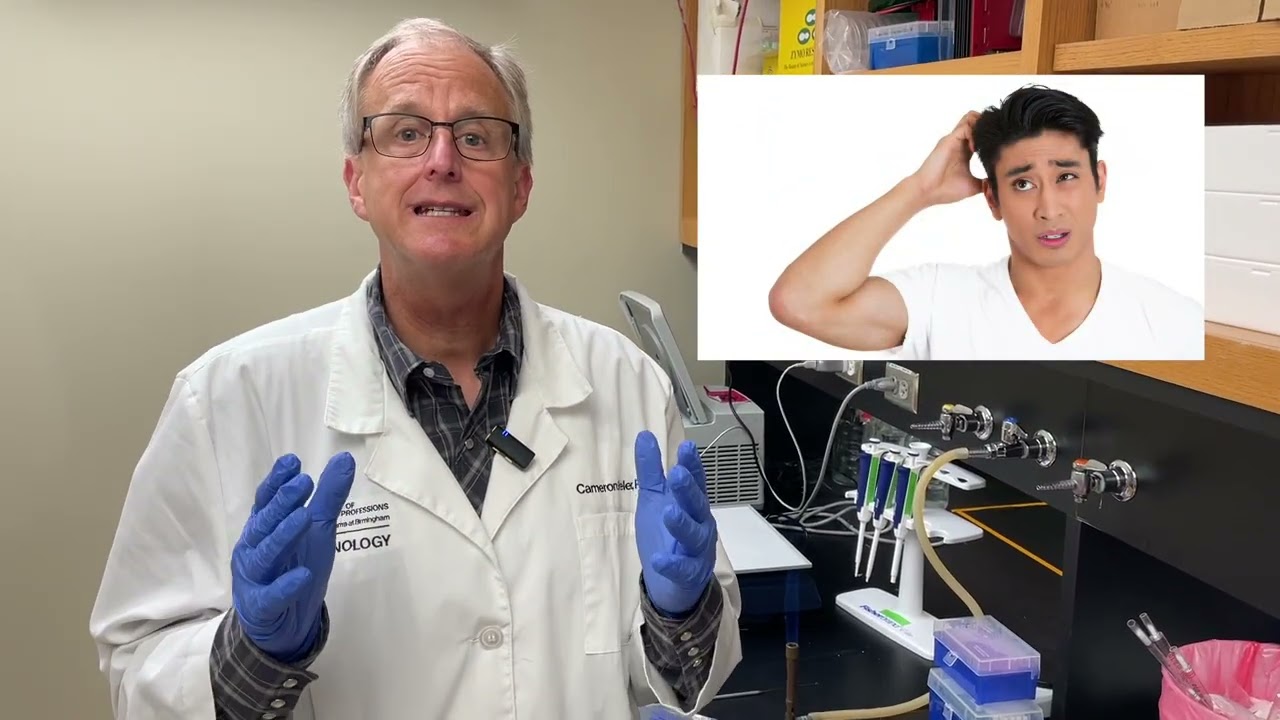 Transformation: The Saga of a Plasmid and E.coli – Will They Meet?