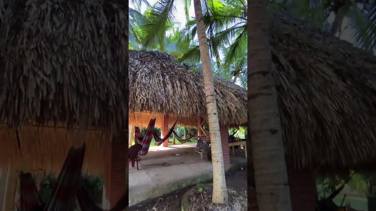 Como construir un rancho r&uacute;stico de palma real